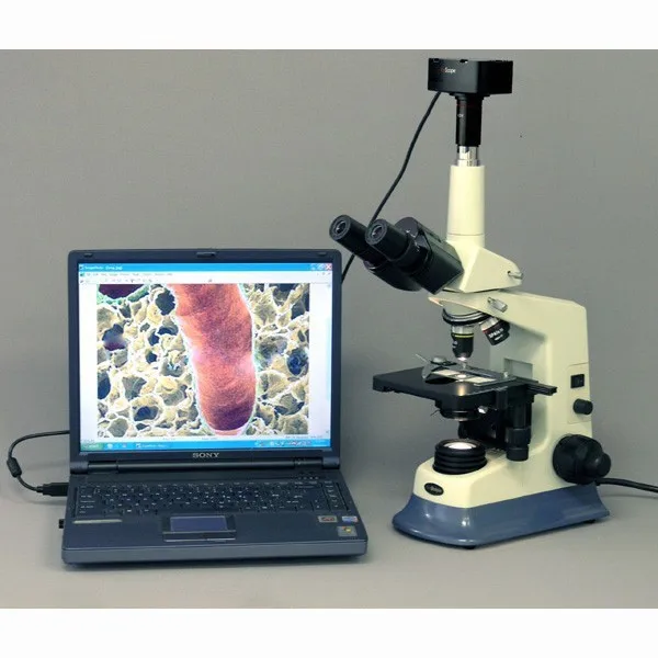 AmScope-닥터 수의사 실험실 현미경, 40 배-1600x, 수의사 실험실 복합 현미경, 10MA USB 카메라, 윈도우 및 맥 OS
