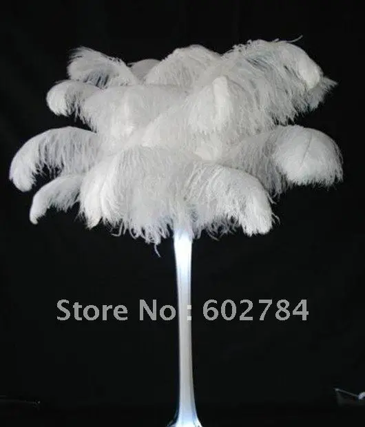 

EMS Free shipping 50pcs/ lot 22-24inch 55-60cm white ostrich feather wholesale