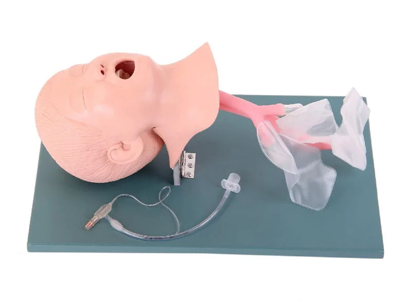 Neonatal trasheal intubation модель ребенка tracheal тренировка моделирование учебное