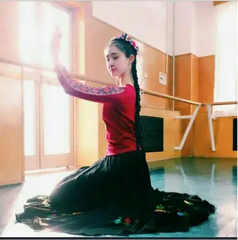 

Xinjiang Dance Costume Uighur Dance practice Skirt Embroidery