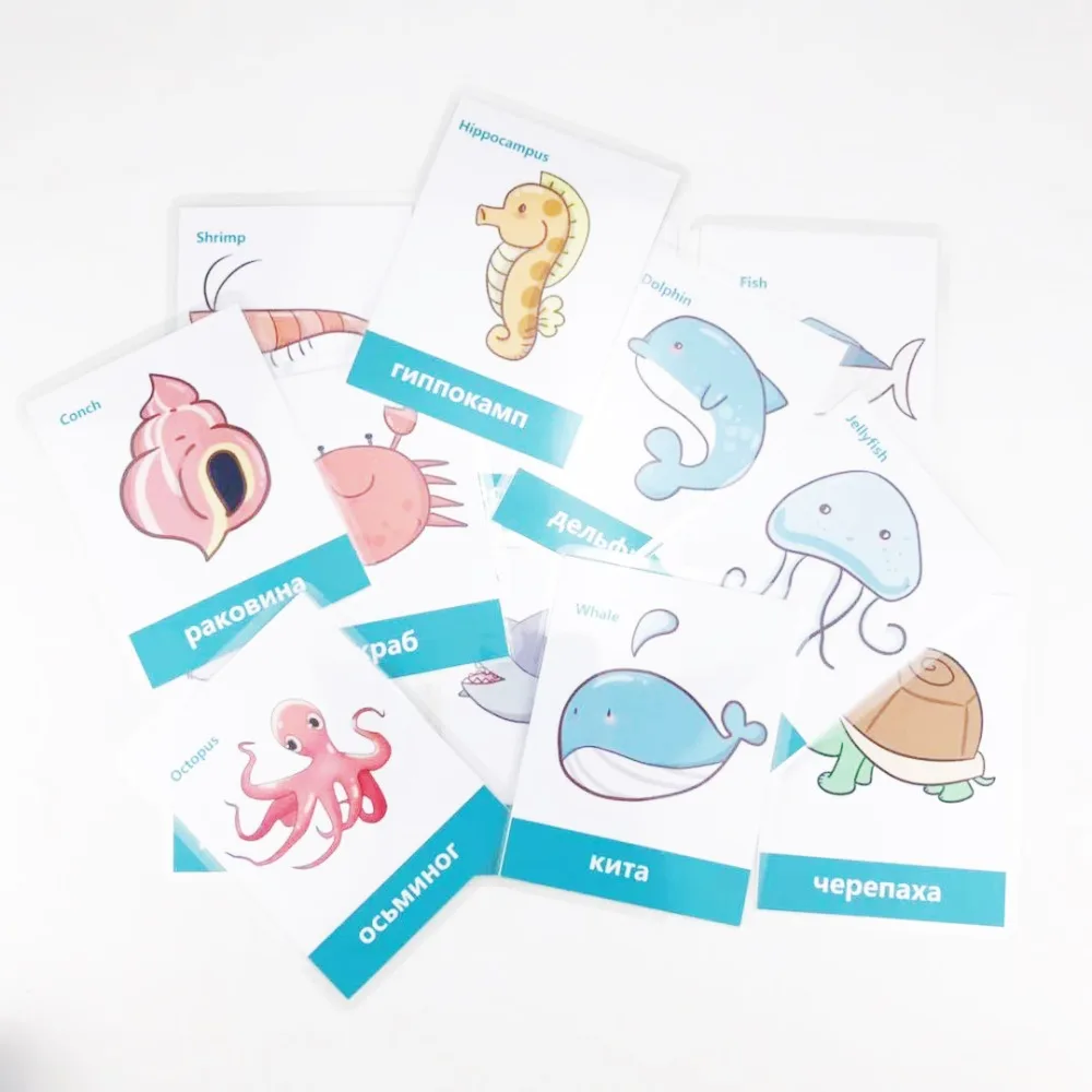 Cartões de Memória Flash para Crianças Sala de Aula Jogos de Memorie Frutas Legumes Aprendizagem Russa & Inglês Montessori Brinquedos Educativos 66 Pçs - Set 35 Weddings & Events