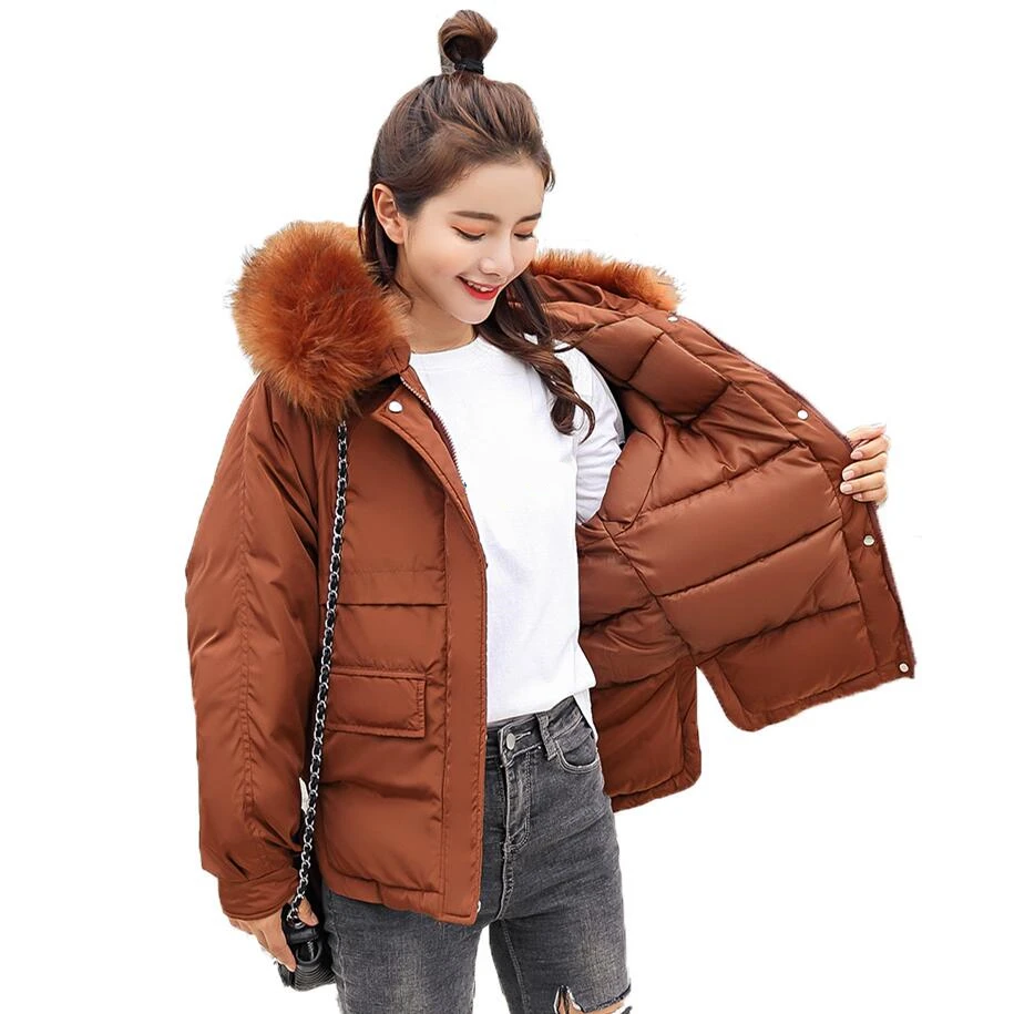 Buy Ladies Short Winter Jacket Women Hooded Winter