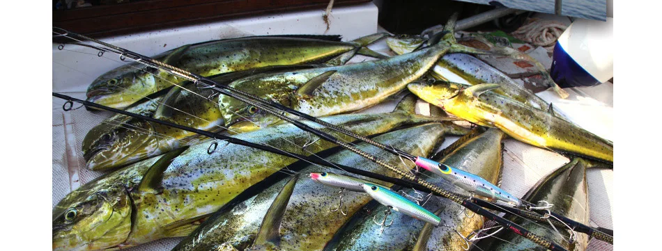 Isca de Pesca Lápis de Madeira Feito à Mão Feiyu Afundando Popper Mar Pesca Amarelo Cauda Sft Marca 170mm 100g 31 Iscas artificiais
