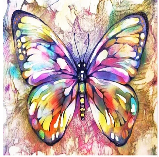 detail feedback questions about 2019 5d diy diamond paintings butterfly artworks