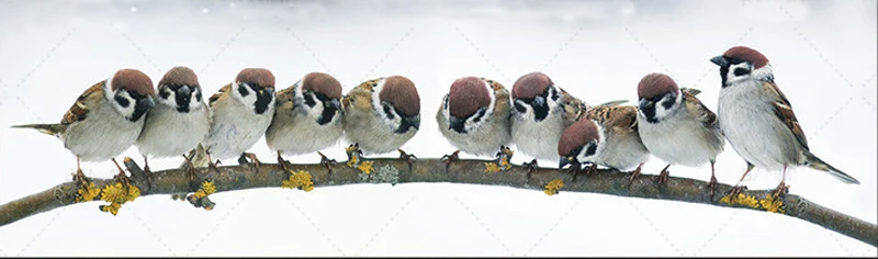 HTB1N8NjKXuWBuNjSszbq6AS7FXa3