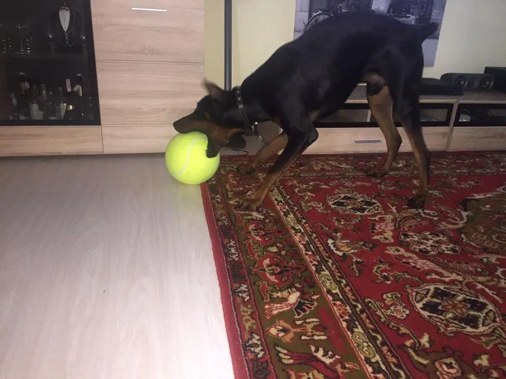 UTB8RO.qAFfFXKJk43Otxh4IPFXa5