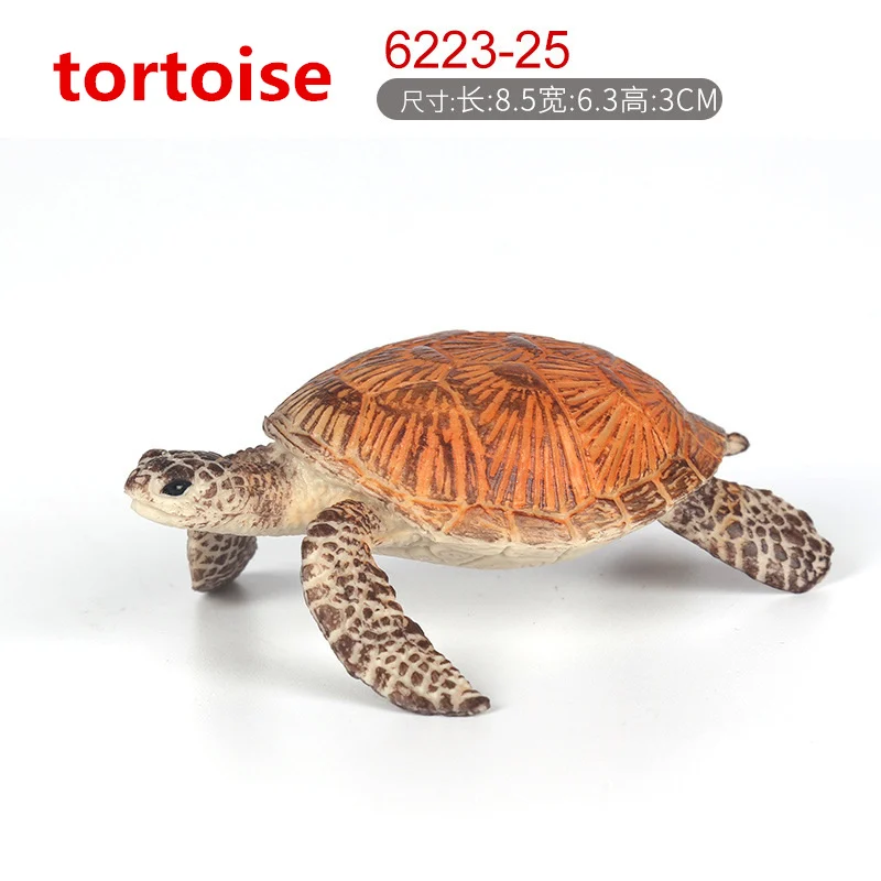 4456025031_1085278937