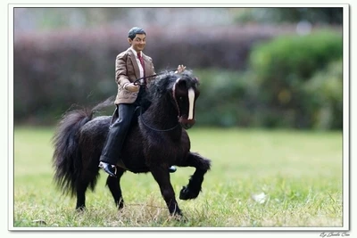 1/6 scale Horse model for 12