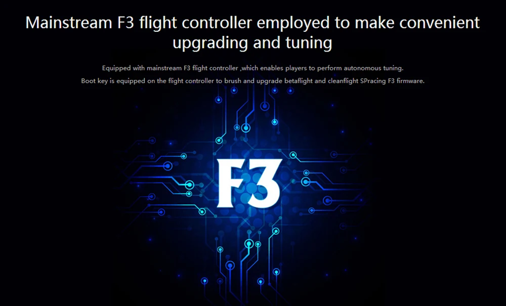 F215 010