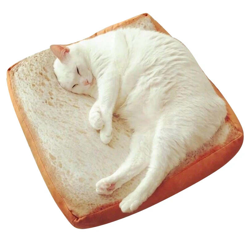 56ea0f3831e179ec8cfbb99d73a1aad8_Microblogging-with-the-paragraph-cute-simulation-toast-bread-slices-cushions-cat-special-bread-type-cushion-cartoon