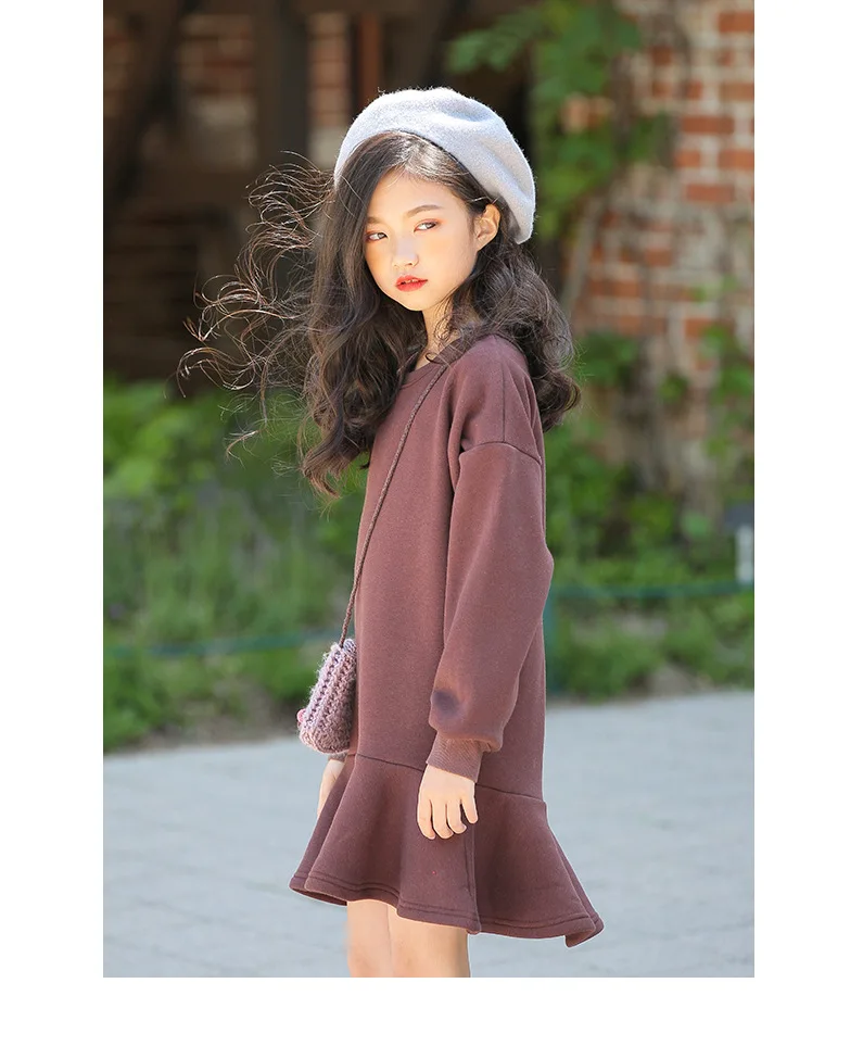 ruffles autumn winter dresses for big girls cotton long sleeve fleece dress baby kids clothes children casual school clothing (19)