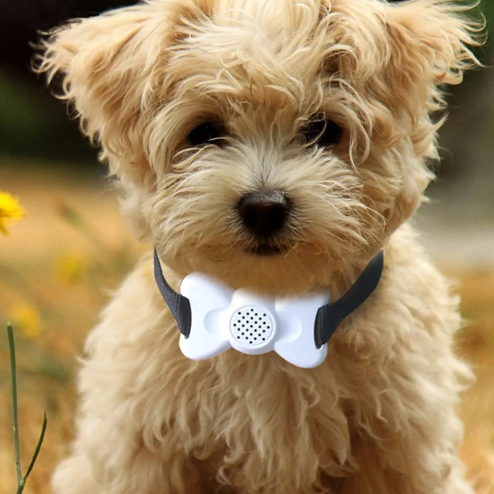 

Sound Recording Anti Bark Dog Collar Bark Stopping Device Collars Dog Training Collar with Sound Vibration(No Battery Included)