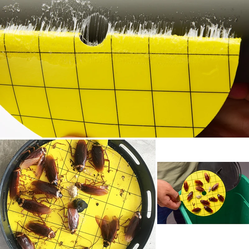 

15cm*6cm Cockroach Catcher Trap Accessory Plastic 1pc Killing Magic Box Pest Cage House Reusable With Bait Insect
