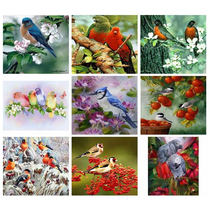 

diamond embroidery birds,daimond painting animals,rhinestone pictures,diamond painting bird NEW TOOL