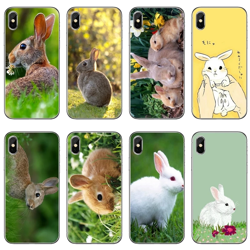 Coque Telephone Blanc Gris Bebe Lapins Pour Samsung Galaxy J8 J6 J4 Plus Prime J7 J5 Pro J3 J2 18 17 16 Couverture Souple Aliexpress Coque Telephone Blanc Gris Bebe Lapins Pour Samsung Galaxy J8 J6 J4 Plus Prime J7 J5 Pro J3 J2 18 17 16 Couverture Souple Aliexpress