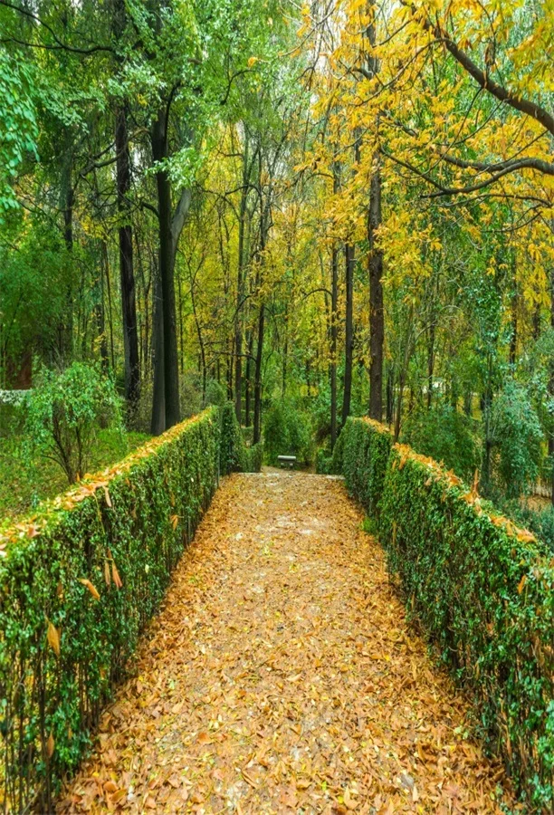 

Laeacco Autumn Fallen Leaves Forest Pathway Photography Backgrounds Vinyl Custom Camera Photographic Backdrops For Photo Studio