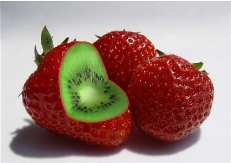 

200 pcs Rare Thailand Strawberry Kiwi bonsai Organic Sweet Fruit bonsai Of Perennial Garden Fruit Bonsai Strawberry bonsai