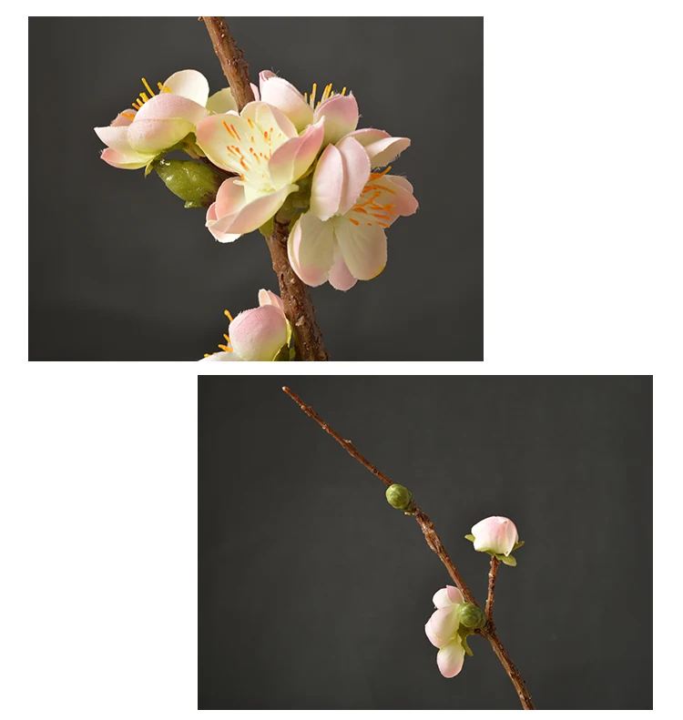 33 Wintersweet Product Detail