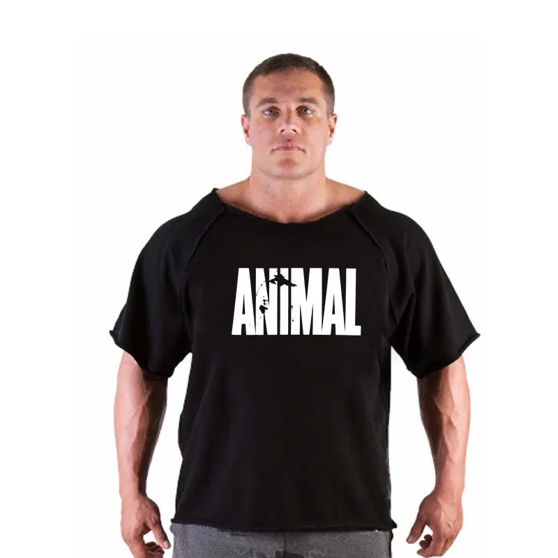 

2019 Men Loose Sport Training Cotton T-shirt Short Sleeve Bat Shirt Male Casual Man Gym Running Fitness Slim Tees Tops Clothing