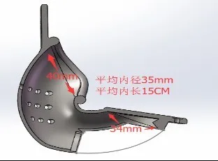 chastity belt 17 Arc male chastity belt sex toys for men male chastity device stainless steel cock cage 7