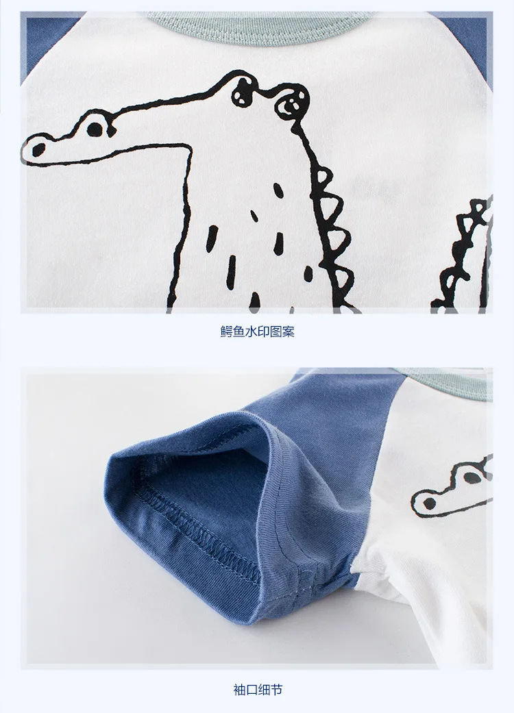 8776395690_715725253