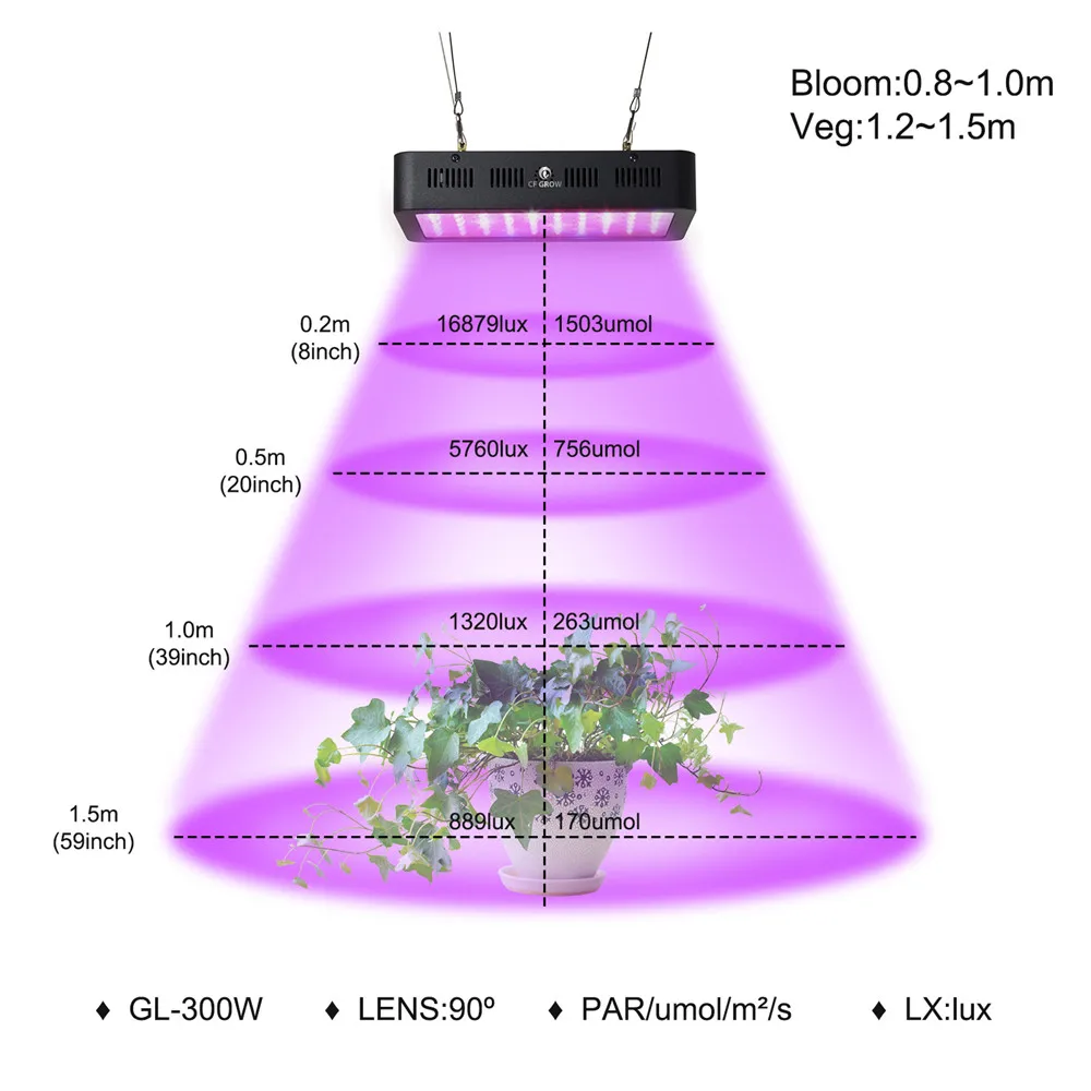 GL-300W--logo_06