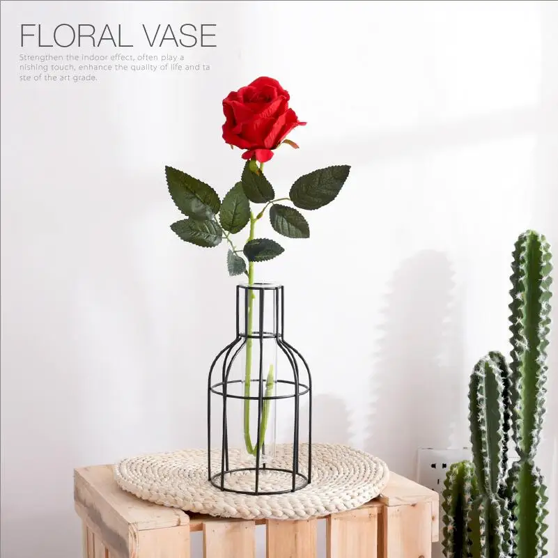 

Simple European-style iron geometry glass hydroponic container Simulation vase decorative ornaments Living room table flowers