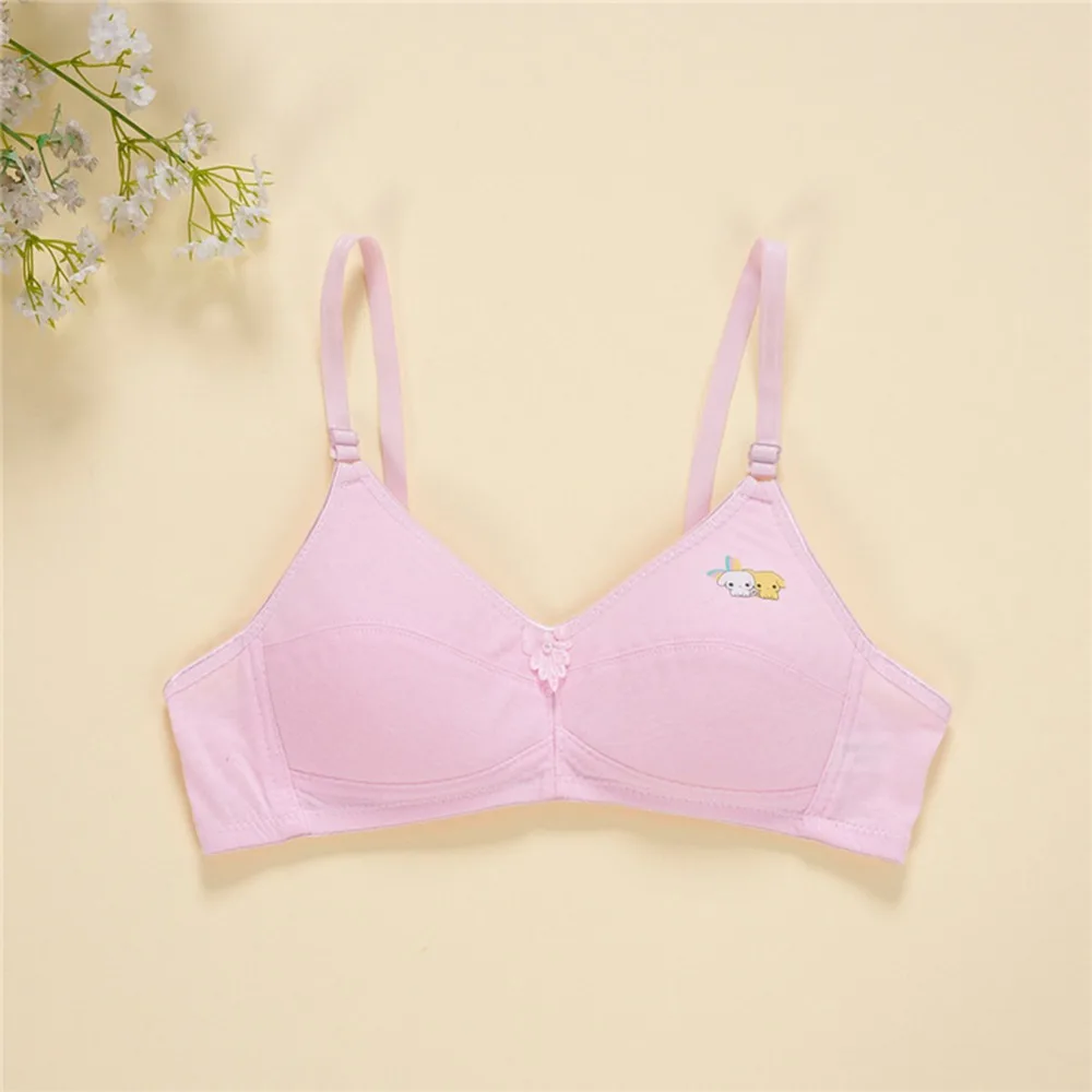 BV0002P (1)