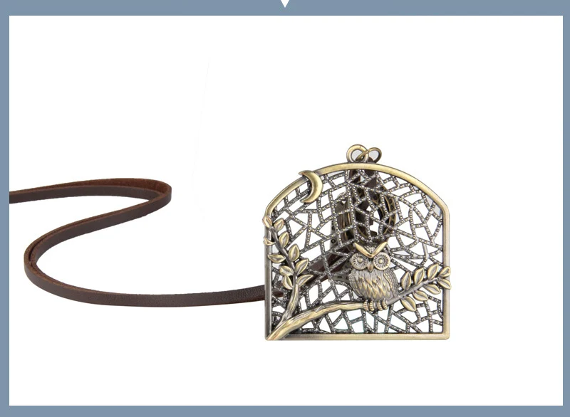 NIUYITID Vintage Bird Cage Owl Necklace & Pendant Men Long Leather Rope Neckless Creative Beautiful Jewelry Cadena Hombre (7)