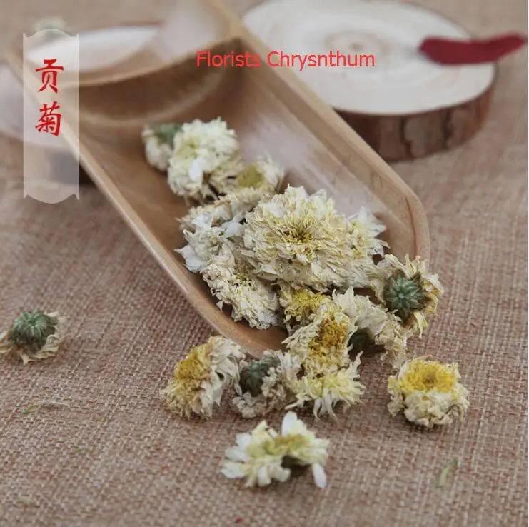 Florists Chrysnthum