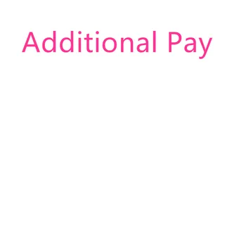 

Additional Paymen't