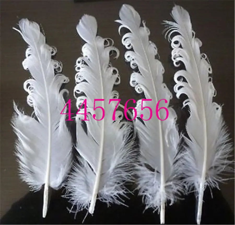 Wholesale 20pcs beatiful white pheasant feathers 12-18cm | Дом и сад