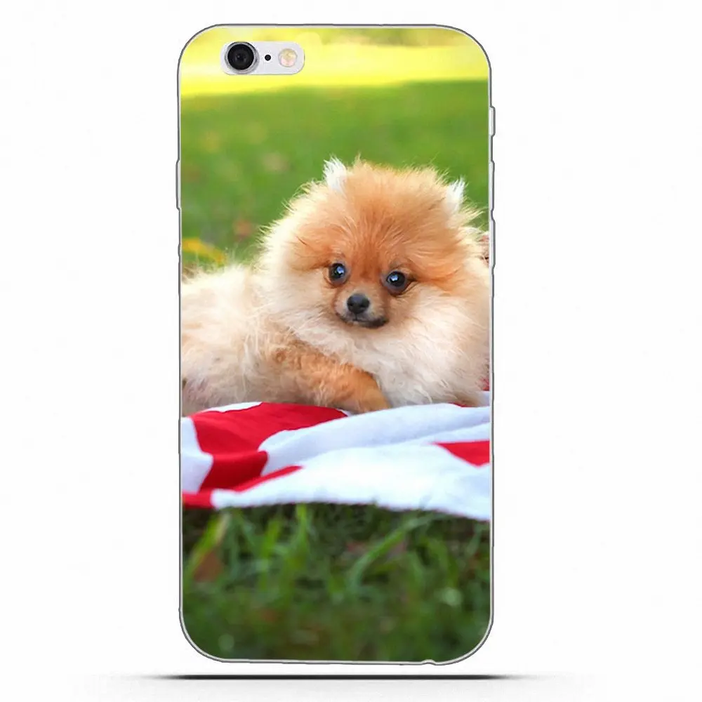 Wexoeq For Apple iPhone X 4 4S 5 5C 5S SE 6 6S 7 8 Plus Soft Capa Pomeranian puppy dog