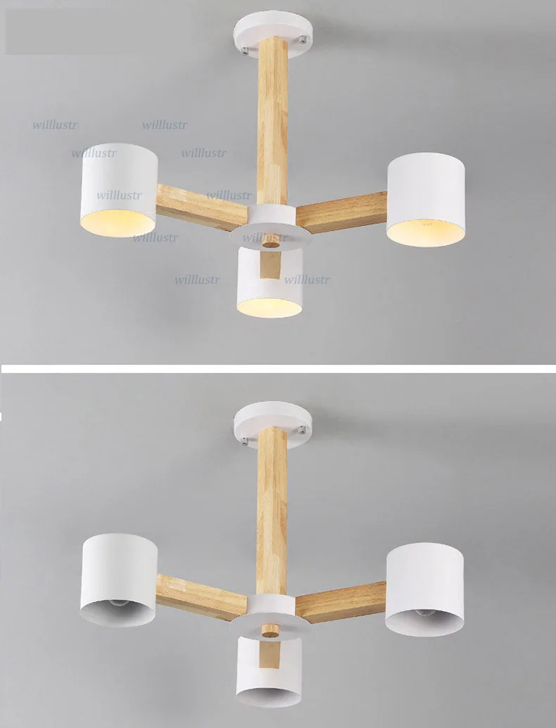 ceiling light (1)