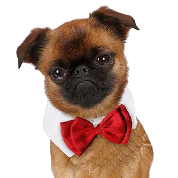 

Gentleman Dog Bow Ties Pet Bow ties Adjustable Dog Cat Neckties Bow Butterfly Tie Necktie Bow tie Collar Pet Accessories