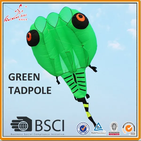 Tadpole4