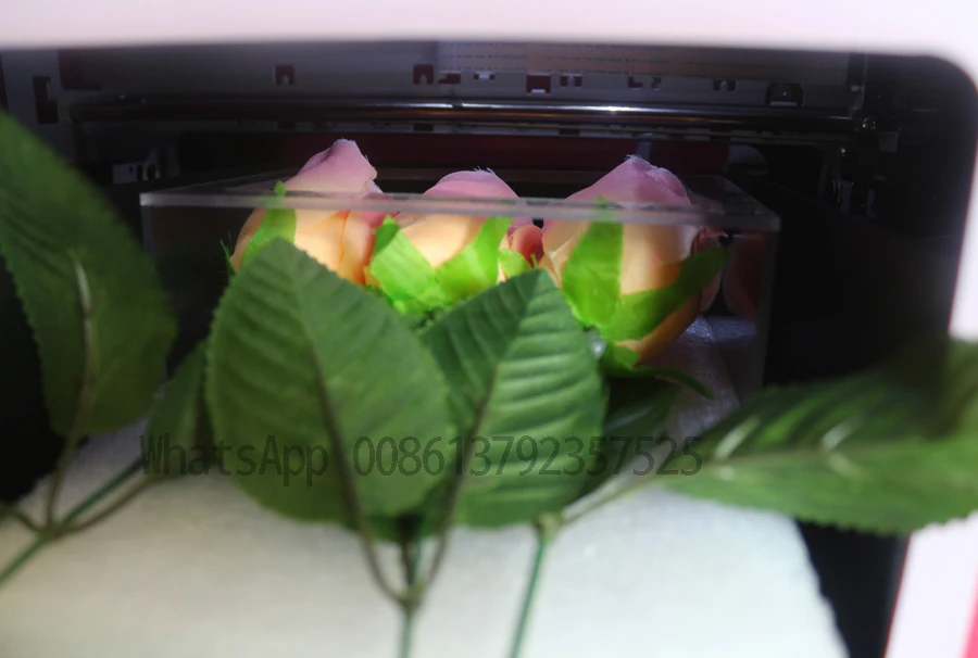 Máquina de Impressão Máquina do Unha Grátis em Todo o Mundo Unhas e 3 Unhas Flores Impressora Frete ce 5 9 Beleza e saúde