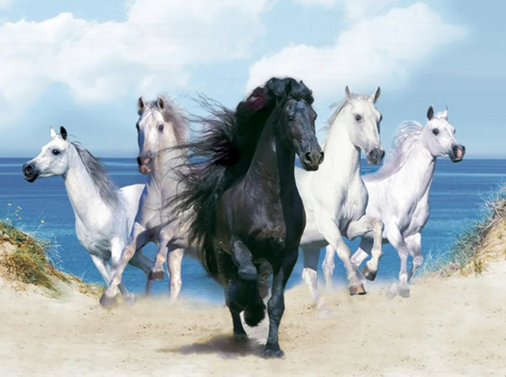 

Diamond Painting Horse Kits Handmade Needlework DIY Diamond Embroidery Animal Rhinestone Mosaic Picture