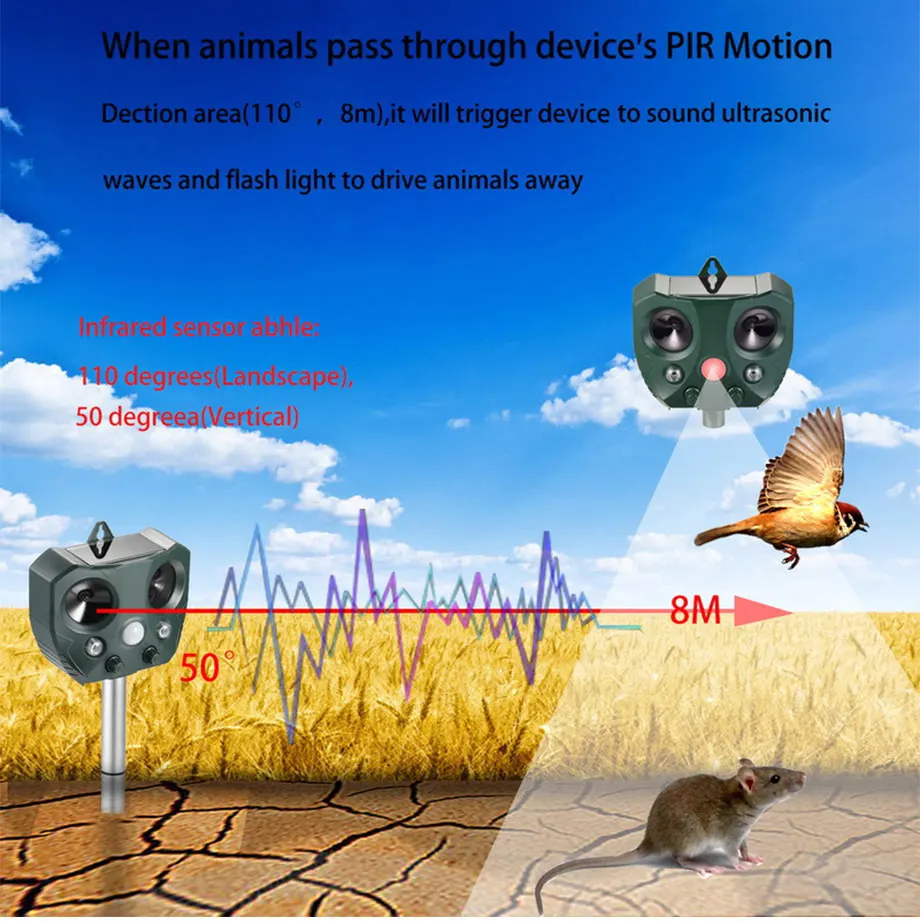 9048620199_1216888221_06
