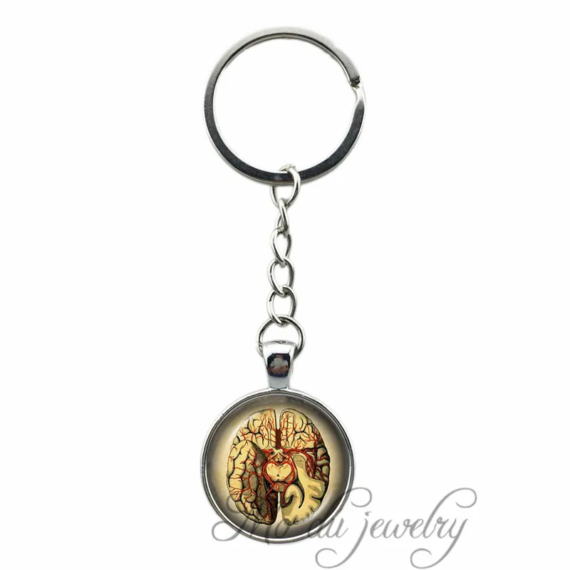 Biology Anatomical Human Head Keychain Neurology Medical Anatomy
