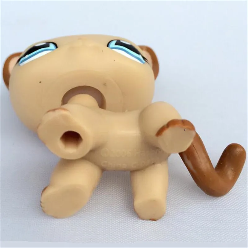 6 - 