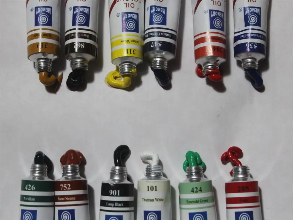 Professional Brand Oil Paint Canvas Pigment Art Supplies Acrylic Paints Each Tube Drawing 12 ML 12 Colors Set