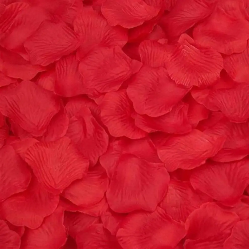 AZ1509009432_00-Red