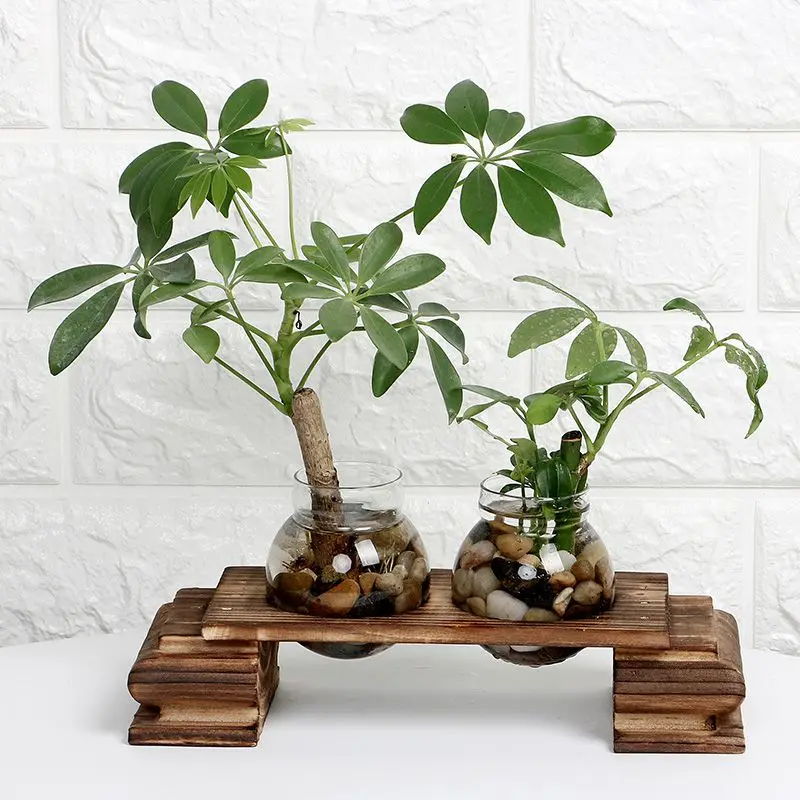 

Glass Hydroponic Plant Vases Vintage Flower Pot Transparent Vase With Wooden Frame Tabletop Plants Home Bonsai Decor