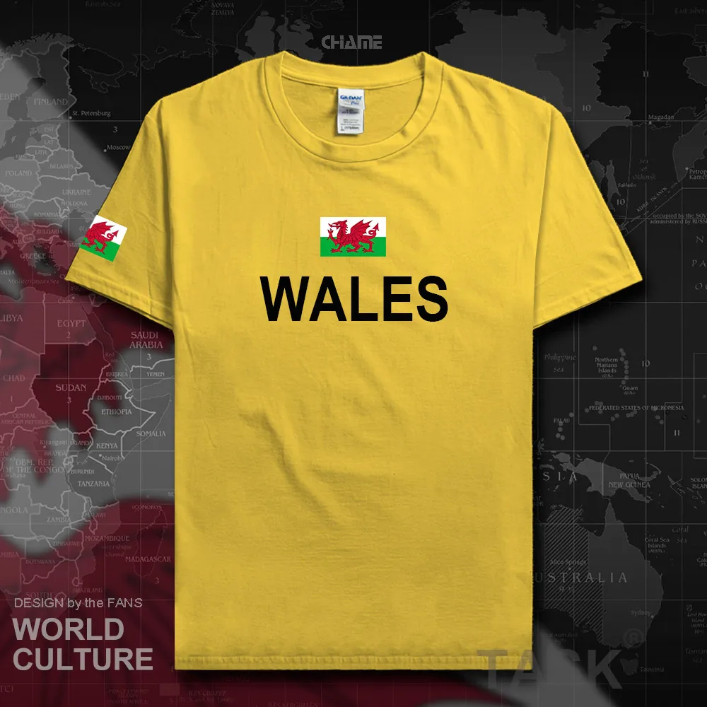 HNat_Wales01_T01daisy
