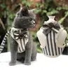 Cute Cat Harness Leash