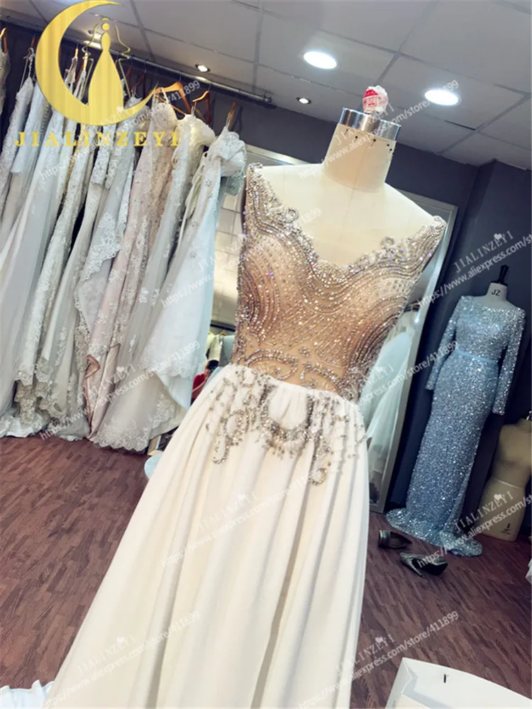 Ly251 (3)