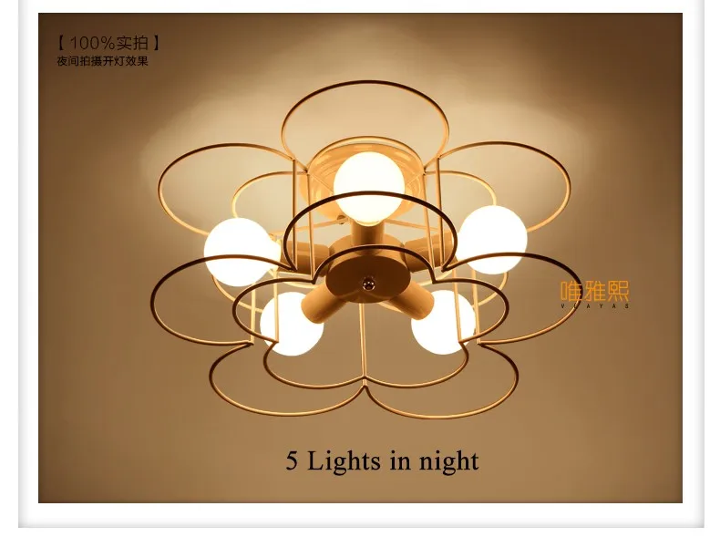 XC-8017 Ceiling lighting (15)_A
