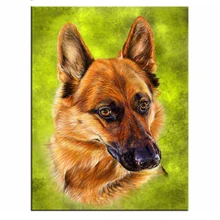 5D DIY Алмазная вышивка фото на заказ Алмазная картина вышивка крестиком, полная квадратная мозаика немецкий Sheperd Стразы JS2670