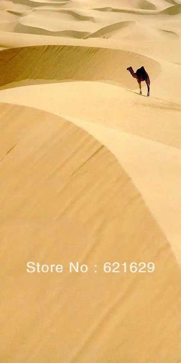 

Boundless desert 10'x20' CP Computer-painted Scenic Photography Background Photo Studio Backdrop ZJZ-378